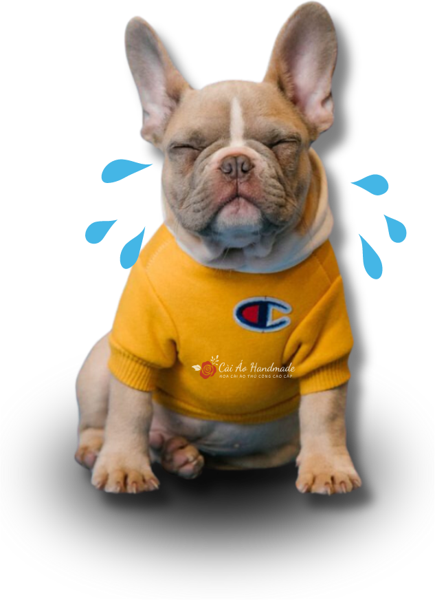 trang 404 - Hoa Cài Áo Handmade