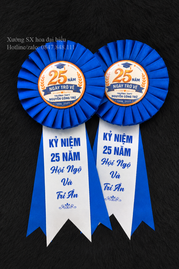 Hoa Cài Áo 25 Năm Ngày Trở Về